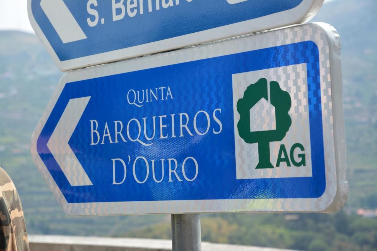 Quinta Barqueiros D'Ouro - Casa Da Musica Βίλα Mesão Frio Εξωτερικό φωτογραφία