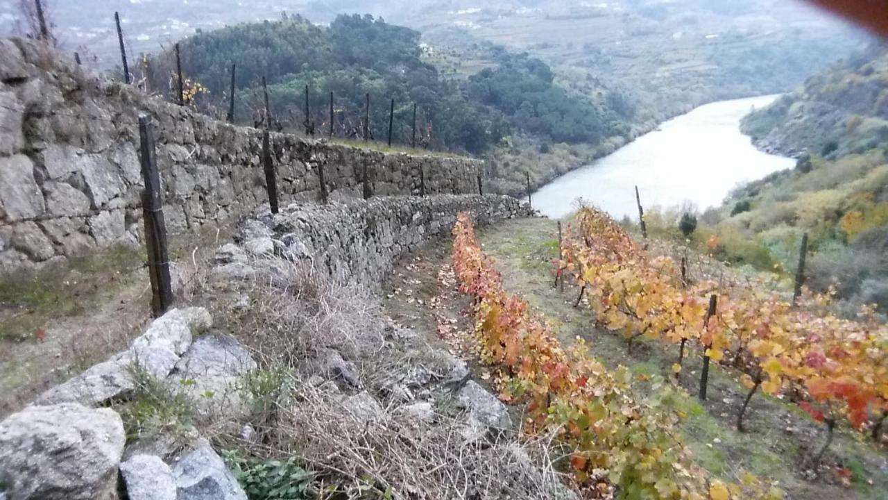 Quinta Barqueiros D'Ouro - Casa Da Musica Βίλα Mesão Frio Εξωτερικό φωτογραφία